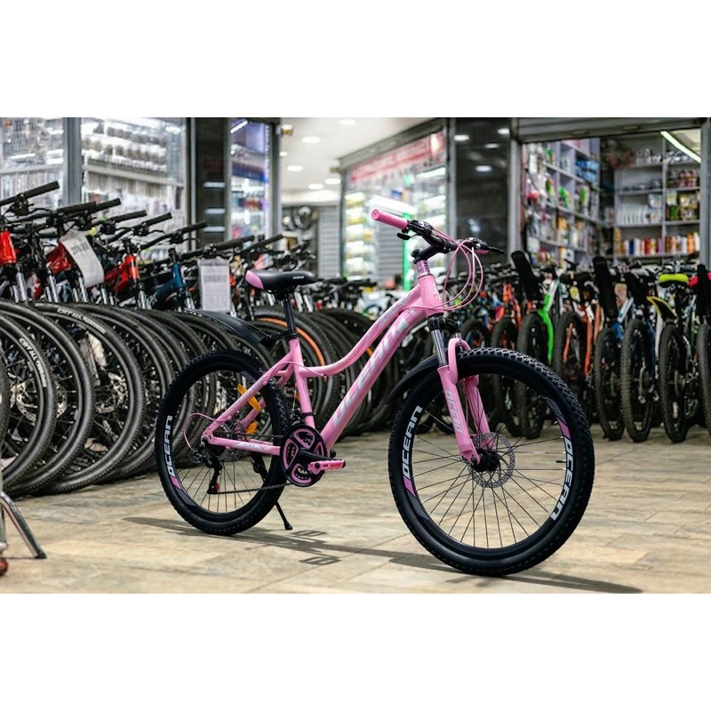 Ocean Bike 24-Inch with Gear and Mechanical Disc Brakes