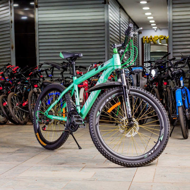 Ocean Mountain Bike 24-Inch with Suspension Fork