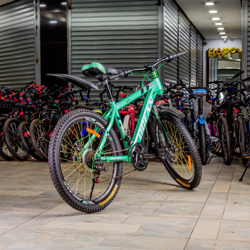 Ocean Mountain Bike 24-Inch with Suspension Fork