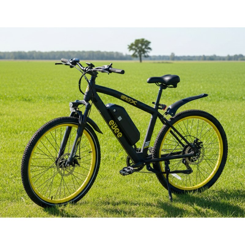eBx 2.0 Electric Bike with Pedal-Assist and Throttle