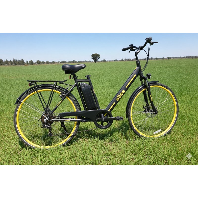 Nyuki 2.0 Electric Bike with Pedal Assist and Throttle Modes