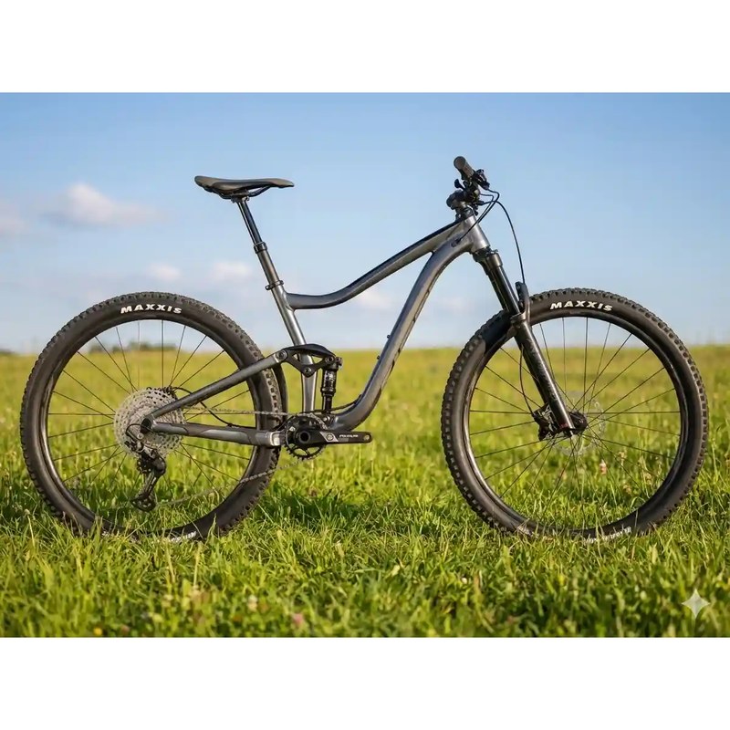 Giant Trance 29 Mountain Bike with 115mm Suspension