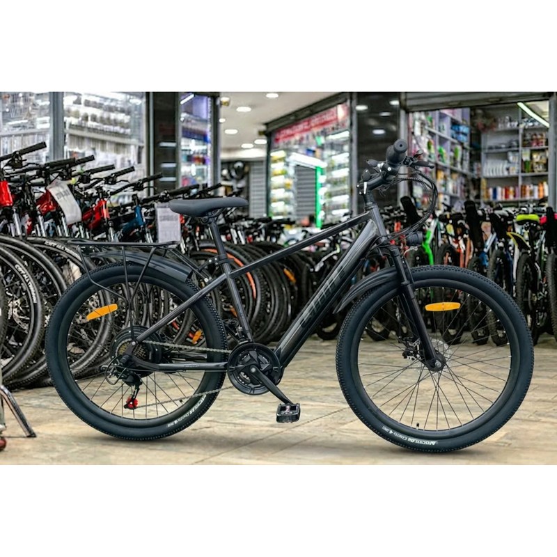 Limit Jaguar Electric Bike 26-Inch with 36V Motor