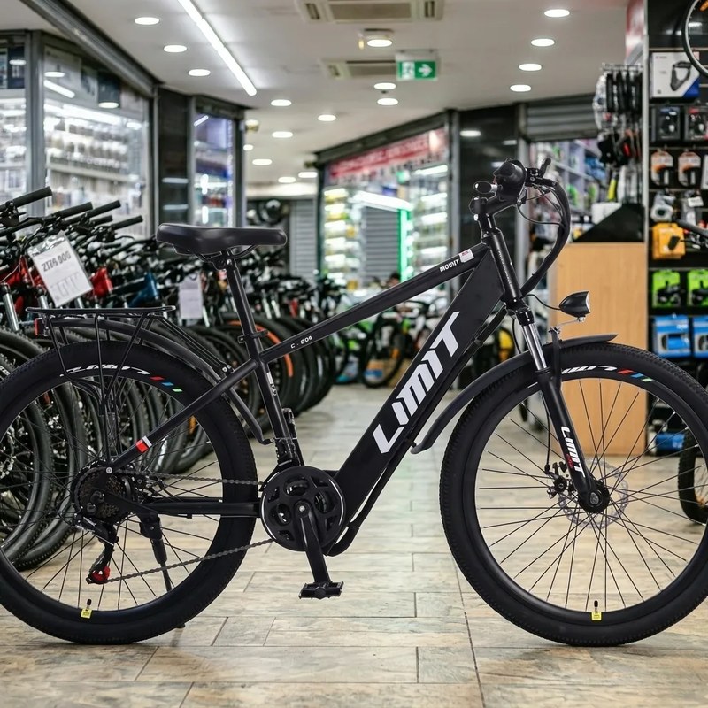 Limit Dragon Electric Bikes