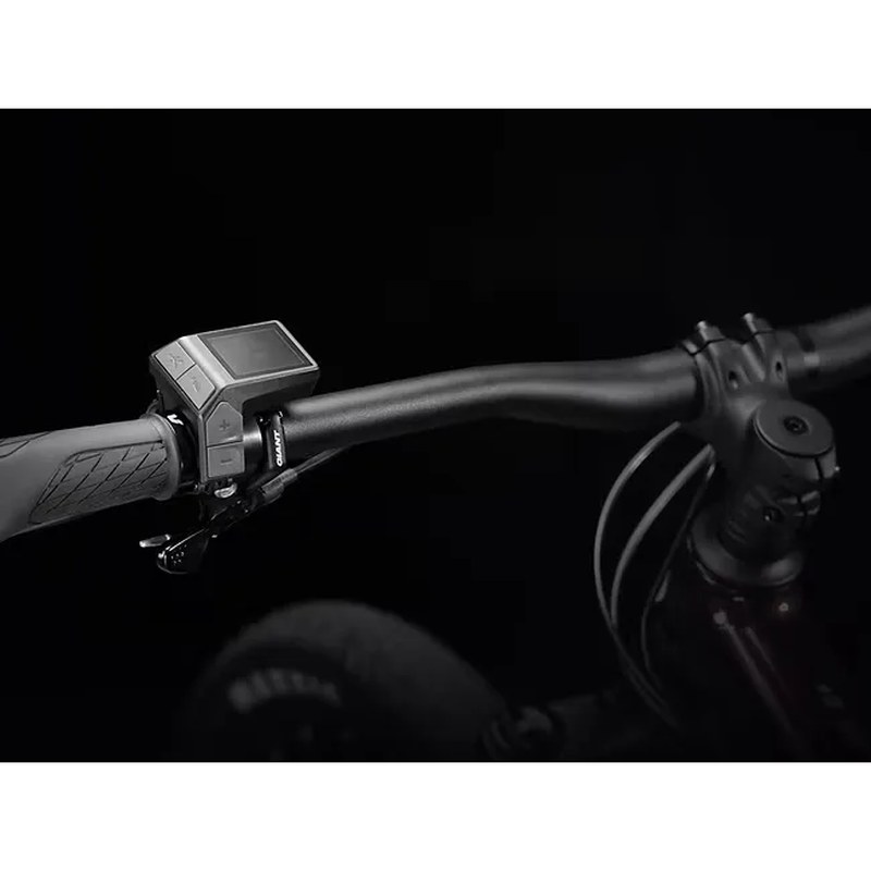 Ridecontrol Dash E-Bike Control Display with Walk Assist