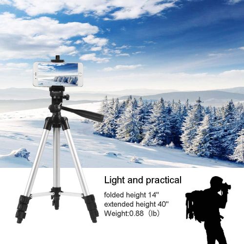 3110 Phone/Camera Foldable Tripod Stand