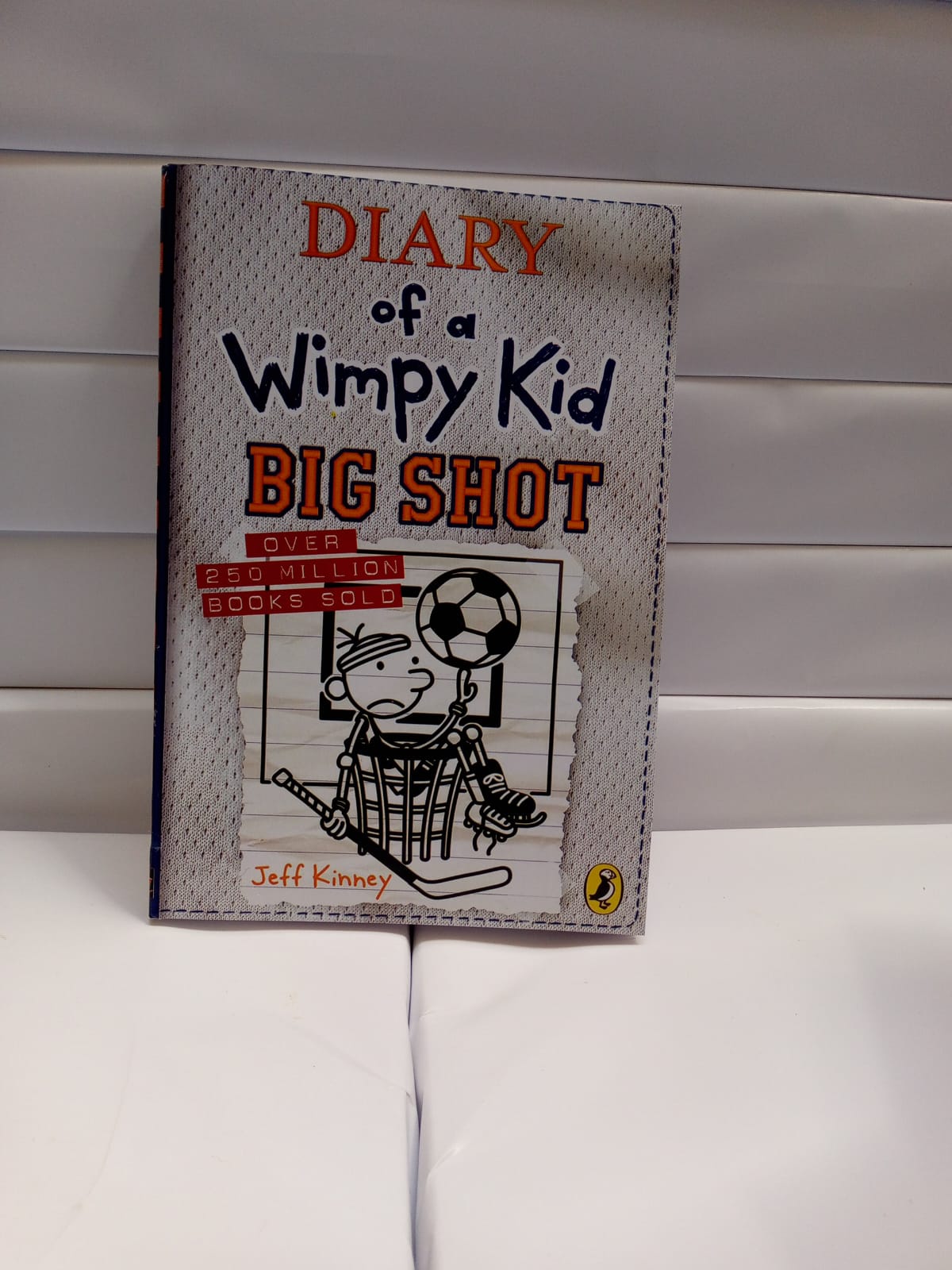 Big Shot Diary of a Wimpy Kid Book 16
by Jeff Kinney (Author)