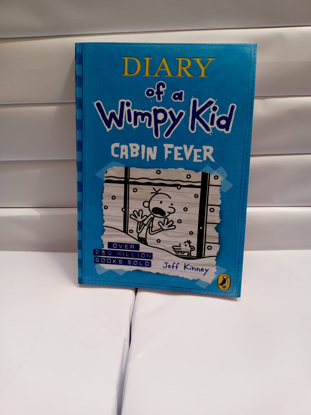 Cabin Fever (Diary of a Wimpy Kid book 6) 
by Kinney Jeff (Author)
