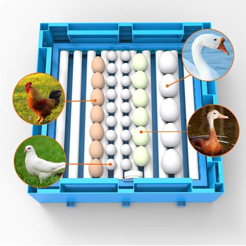 64-EGGS SOLAR AND ELECTRIC FULL AUTOMATIC INCUBATOR AC/DC
