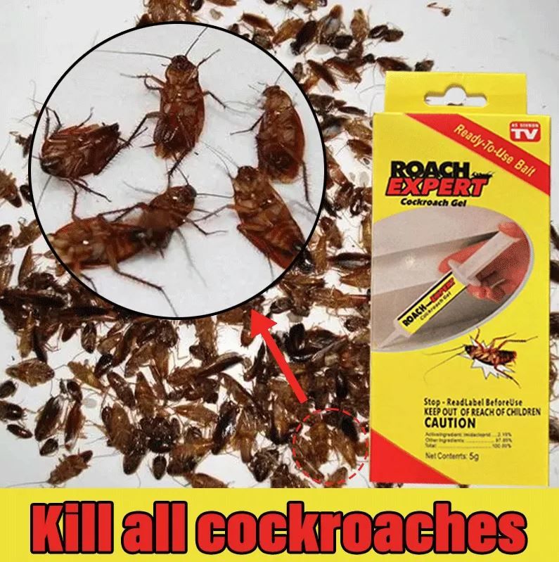 Outdoor & Indoor Powerful Roach Expert Cockroach Bait Killer Gel.