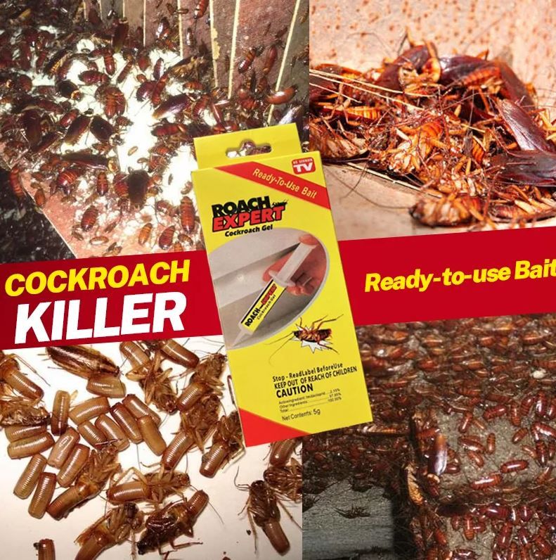 Outdoor & Indoor Powerful Roach Expert Cockroach Bait Killer Gel.