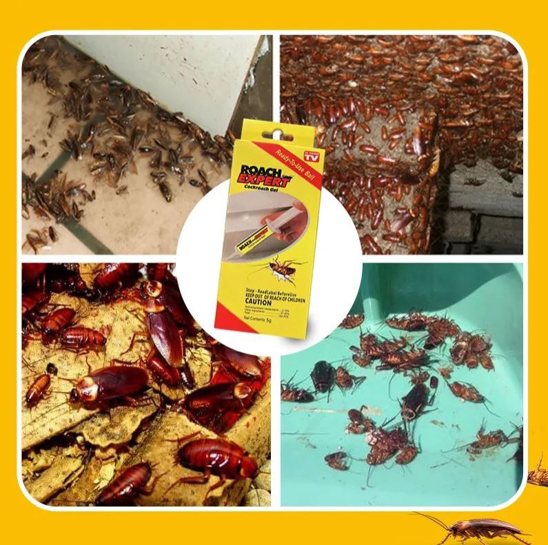 Outdoor & Indoor Powerful Roach Expert Cockroach Bait Killer Gel.