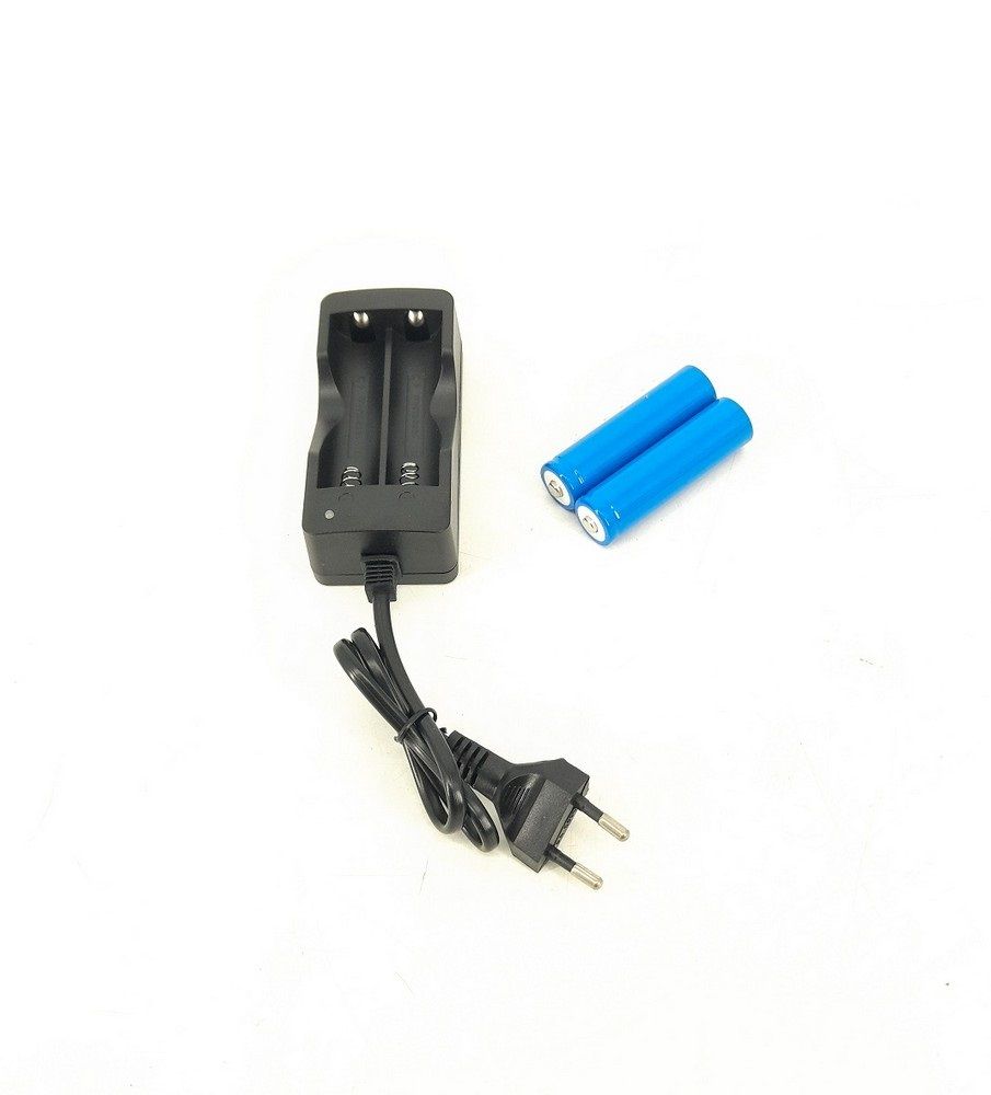 18650 Battery Dual Intelligent Rapid Charger with Two 18650 Batteries