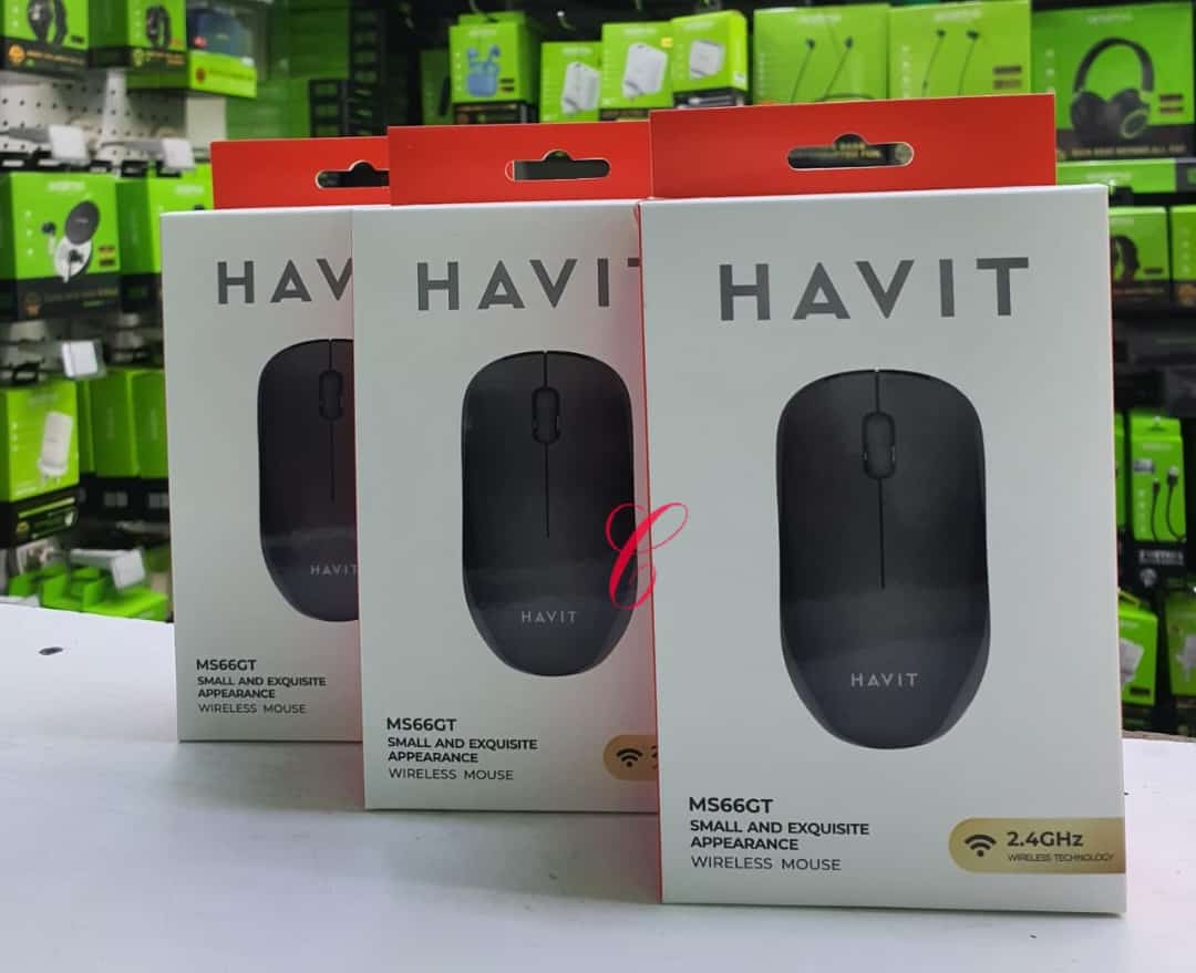 HAVIT MS66GT WIRELESS MOUSE