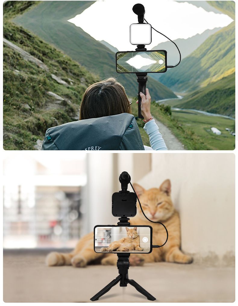 Classic AY-49 Video Making Vlog Tripod Kit With Microphone and And Light For Live Broadcast