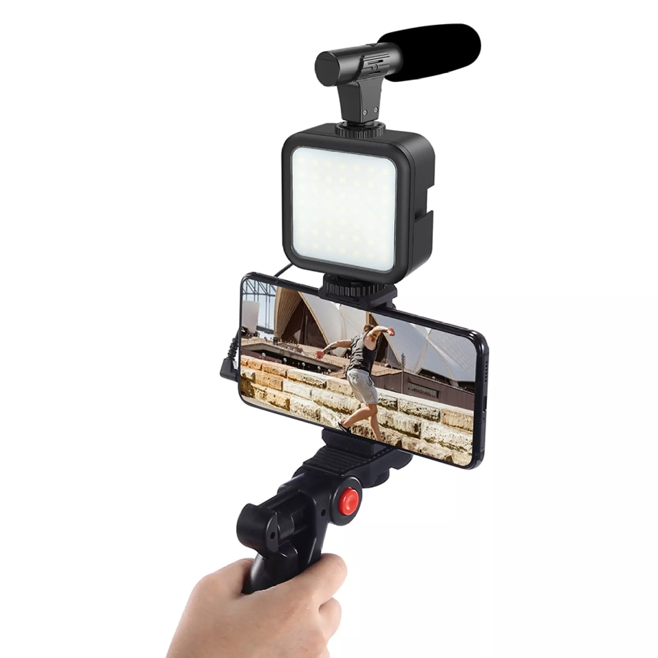 Classic AY-49 Video Making Vlog Tripod Kit With Microphone and And Light For Live Broadcast