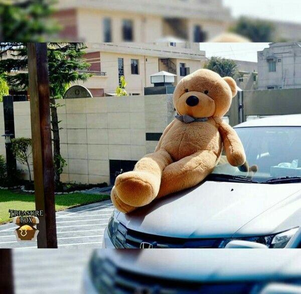 100cm teddy Cute big fluffy teddy bear stuffed for birthdays for girlfriend , wife or child