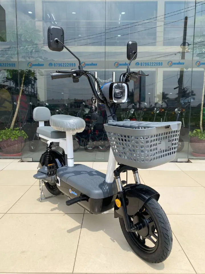 Hanlin - MINI Electric Scooter,Mini scooter,  ELECTRIC SCOOOTER, Charge at Home,Max design speed - 40km/h, Range 50km, Loading capacity - 100kg, Motor - 350W Brushless, Lead Acid Battery - 48V 28 20AH