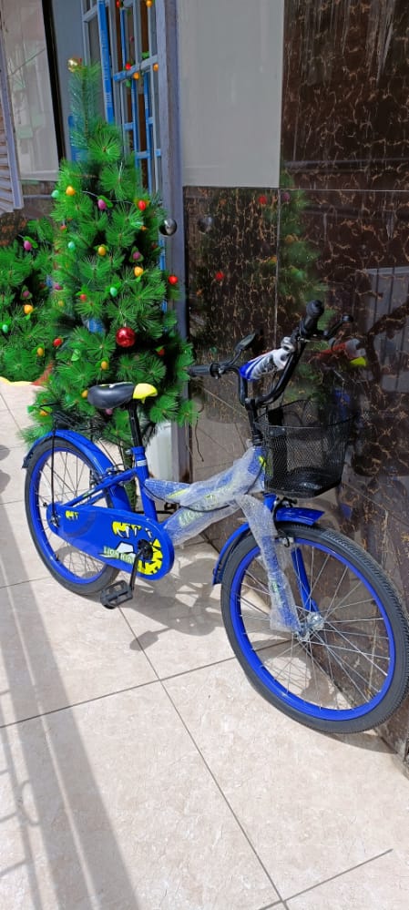 Lion King Kids Bikes: Size 20" without trainer wheels (7~12 yrs)