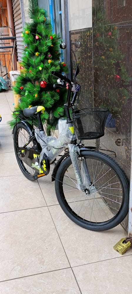 Lion King Kids Bikes: Size 20" without trainer wheels (7~12 yrs)