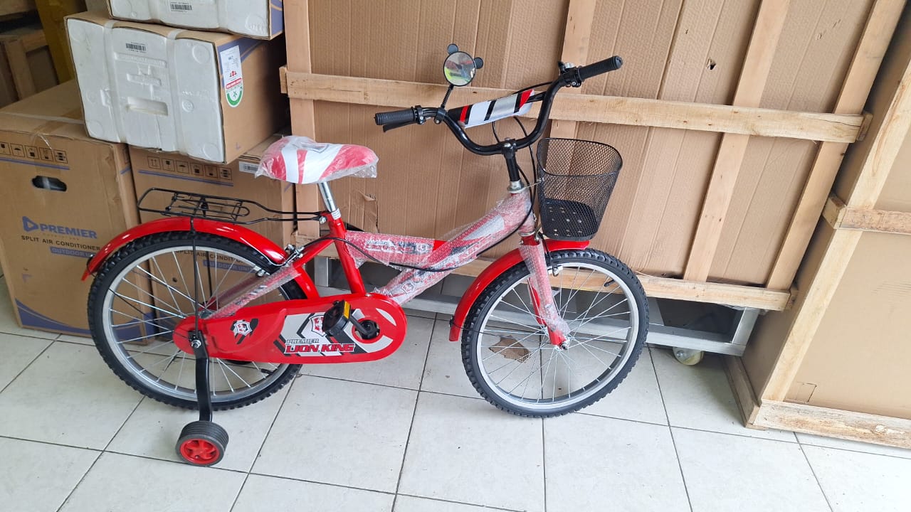 Lion King Kids Bikes: Size 20" without trainer wheels (7~12 yrs)