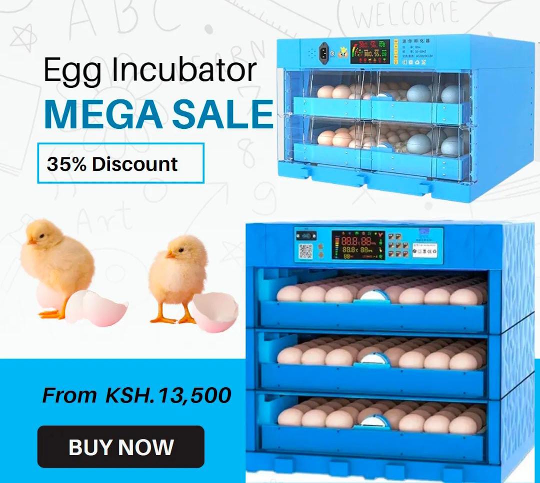 WEEK OFFER 64-EGGS SOLAR AND ELECTRIC FULL AUTOMATIC INCUBATOR (AC/DC)