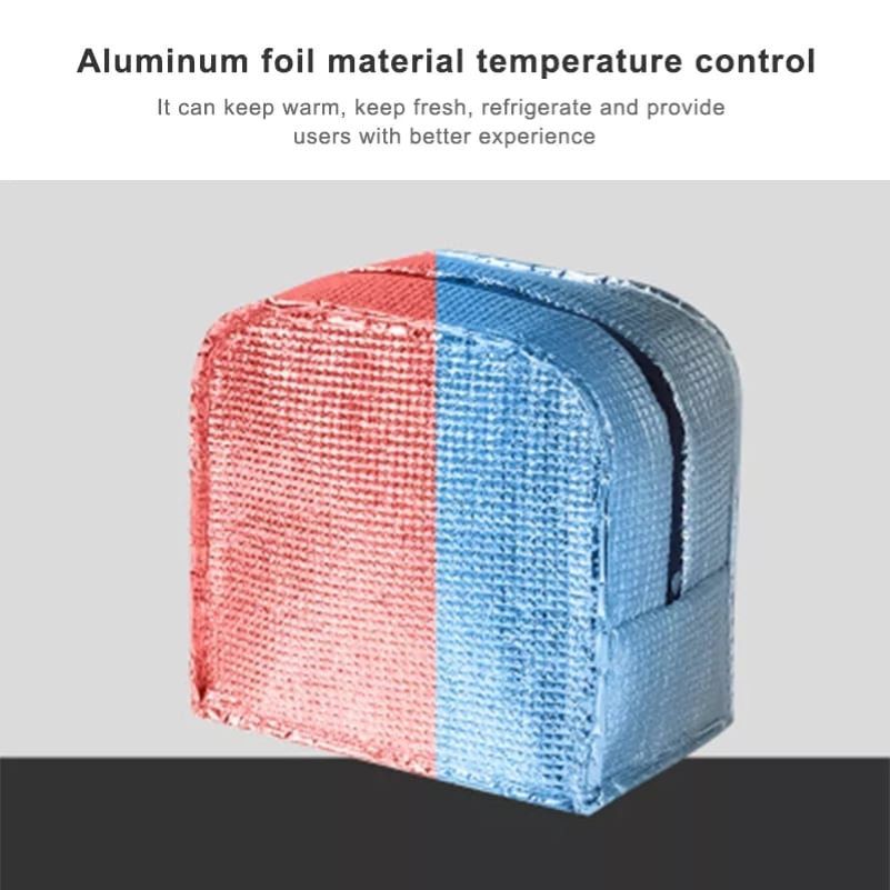 RESTOCKED Insulated Lunch Bag for Women Kids, Cooler Bag, Portable Lunch Box, Ice Pack, Food Tote, Picnic Bags for Work