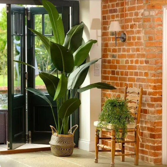 home decor artificial travellers banana plant/ artificial potted banana plant/home decor artificial banana plant/home decor unique artificial banana realistic plant/home decor realistic huge big banan
