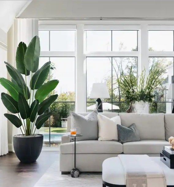home decor artificial travellers banana plant/ artificial potted banana plant/home decor artificial banana plant/home decor unique artificial banana realistic plant/home decor realistic huge big banan