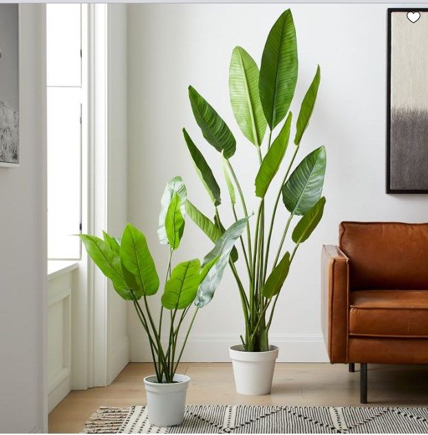 home decor artificial travellers banana plant/ artificial potted banana plant/home decor artificial banana plant/home decor unique artificial banana realistic plant/home decor realistic huge big banan