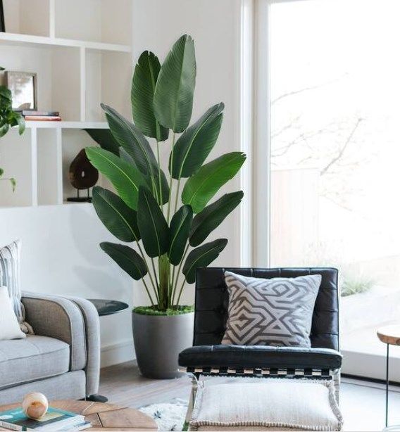 home decor artificial travellers banana plant/ artificial potted banana plant/home decor artificial banana plant/home decor unique artificial banana realistic plant/home decor realistic huge big banan