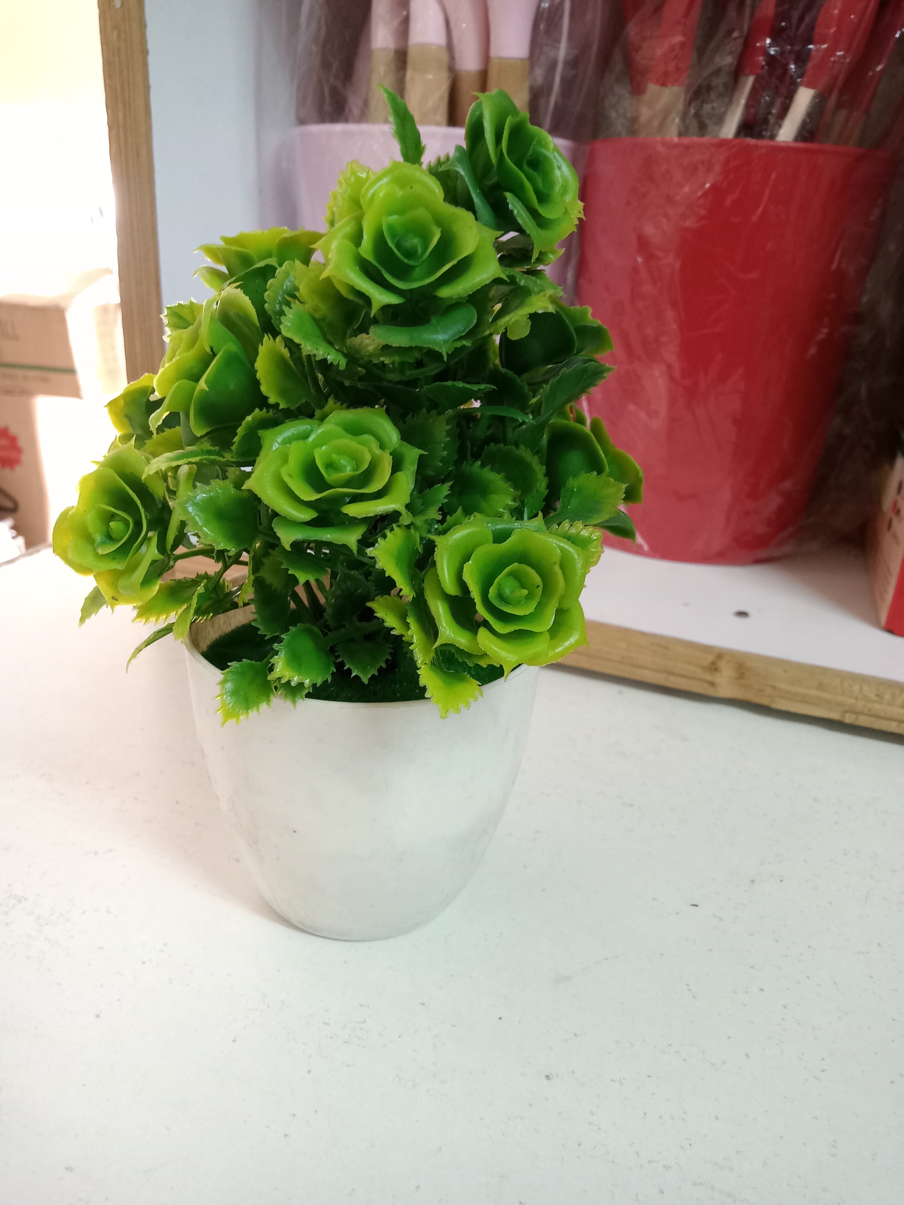 Small Bonsai flowers