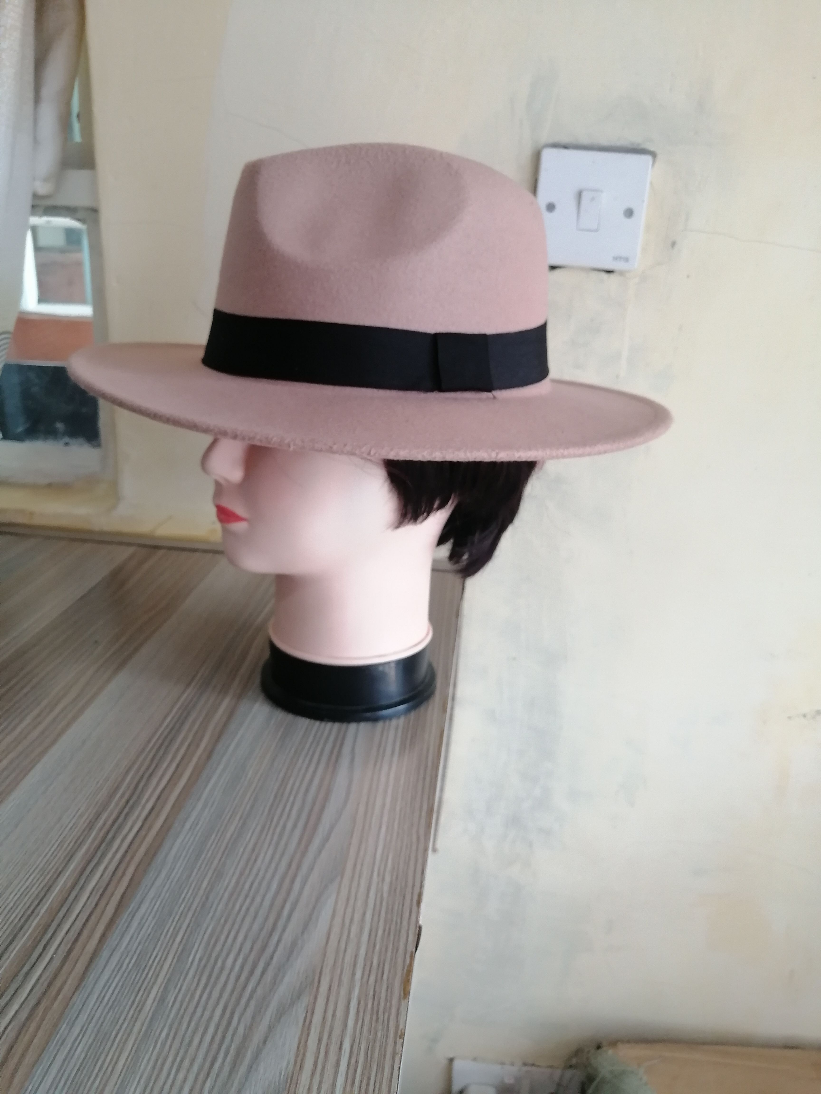 High fashion Fedora hats Unisex Summer Hats Baseball caps Sun Hats for men & Women Party Flat Brim hats Head wear for all occasions Stylish head gear Official Casual & smart casual wear & accessories