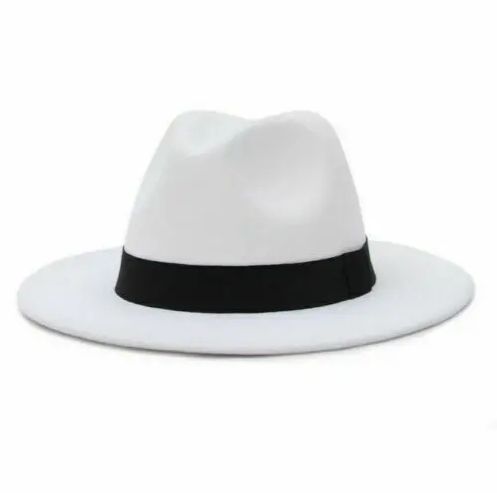 High fashion Fedora hats Unisex Summer Hats Baseball caps Sun Hats for men & Women Party Flat Brim hats Head wear for all occasions Stylish head gear Official Casual & smart casual wear & accessories