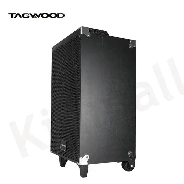 TAGWOOD LTS-12A 12000W Out-Door Subwoofer Multimedia Speaker With Li-Battery ,Wireless Mic, Bluetooth