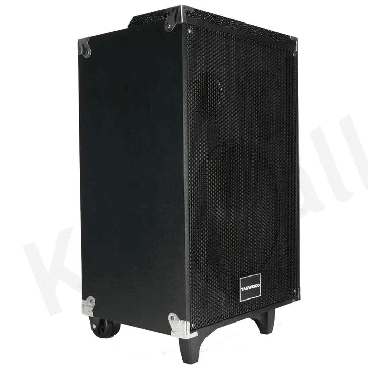 TAGWOOD LTS-12A 12000W Out-Door Subwoofer Multimedia Speaker With Li-Battery ,Wireless Mic, Bluetooth