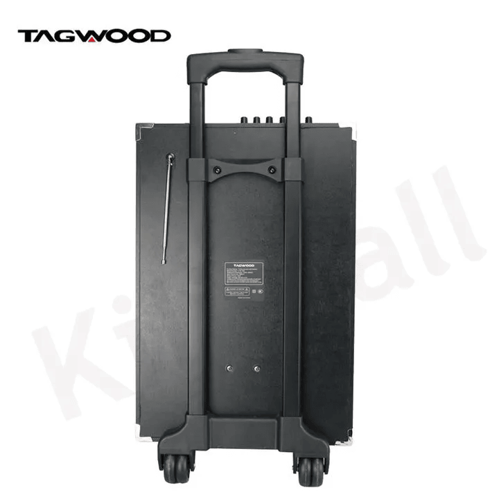 TAGWOOD LTS-12A 12000W Out-Door Subwoofer Multimedia Speaker With Li-Battery ,Wireless Mic, Bluetooth