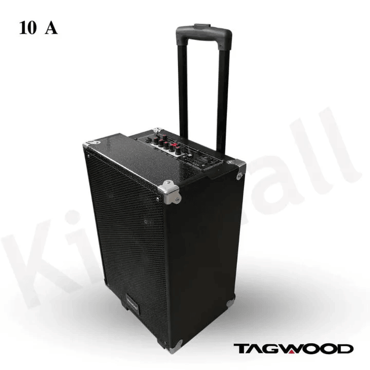 TAGWOOD LTS-10A Subwoofer Outdoor Speaker ,Bluetooth,Free Wireless Microphone & a Built in Battery Woofer