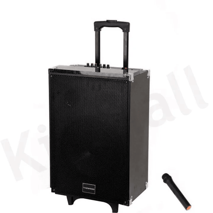 TAGWOOD LTS-10A Subwoofer Outdoor Speaker ,Bluetooth,Free Wireless Microphone & a Built in Battery Woofer