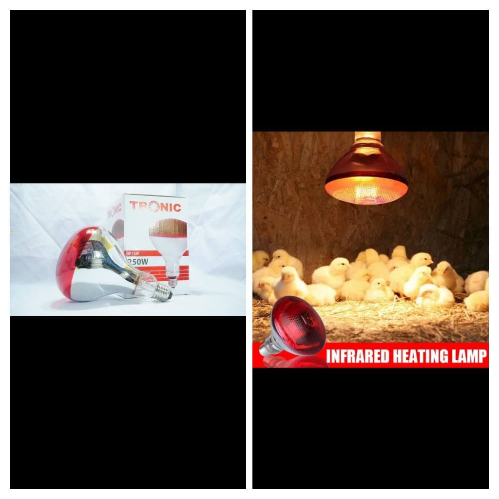 Tronic 250W Poultry Chicks Heat Bulb