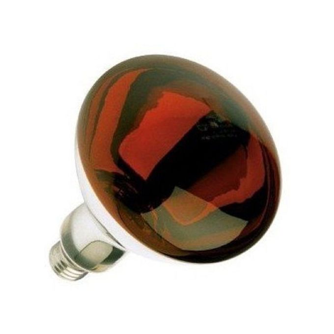 Tronic 250W Poultry Chicks Heat Bulb