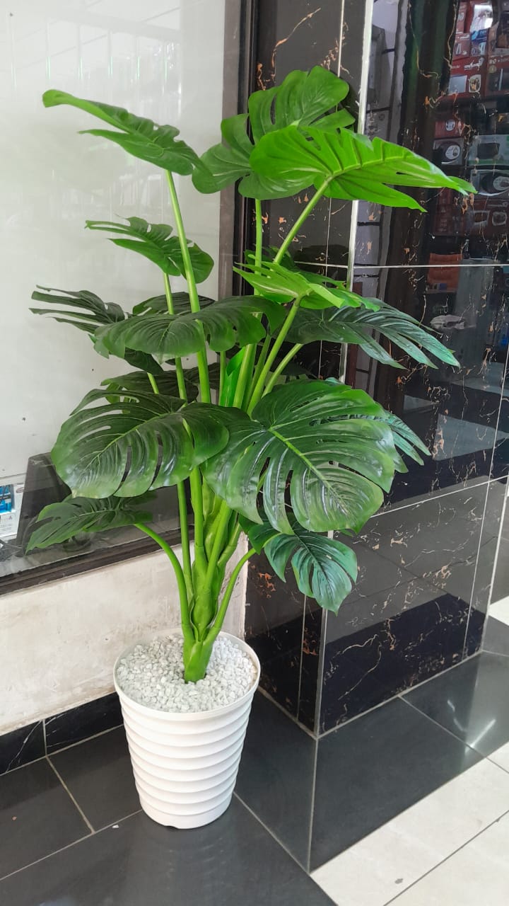 Big monstera plant with hard plastic vase and pebble stones