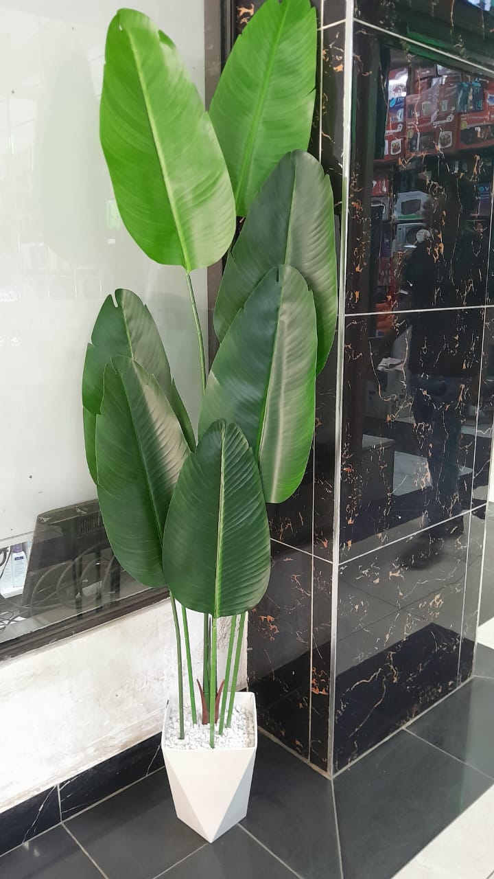 Anniversary offer!!! banana plant artificial, plastic vase and white pebble stones 4.5 feet