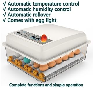 56 Egg Incubator Full Automatic AC/DC(uses Electricity Or Solar Battery)