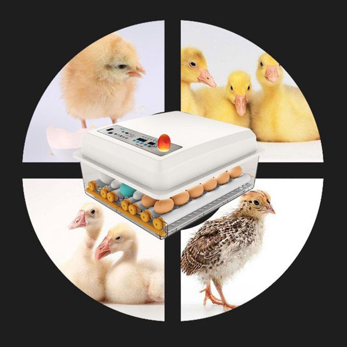 56 Egg Incubator Full Automatic AC/DC(uses Electricity Or Solar Battery)