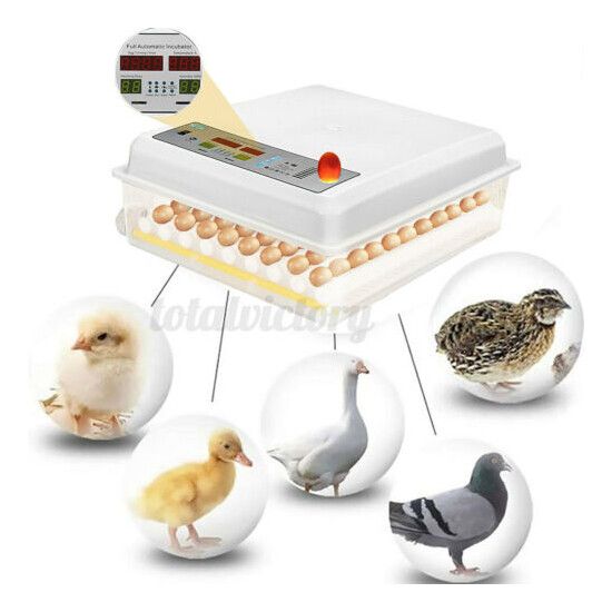 56 Egg Incubator Full Automatic AC/DC