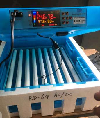 64 Eggs Capacity AC/DC Automatic Incubator