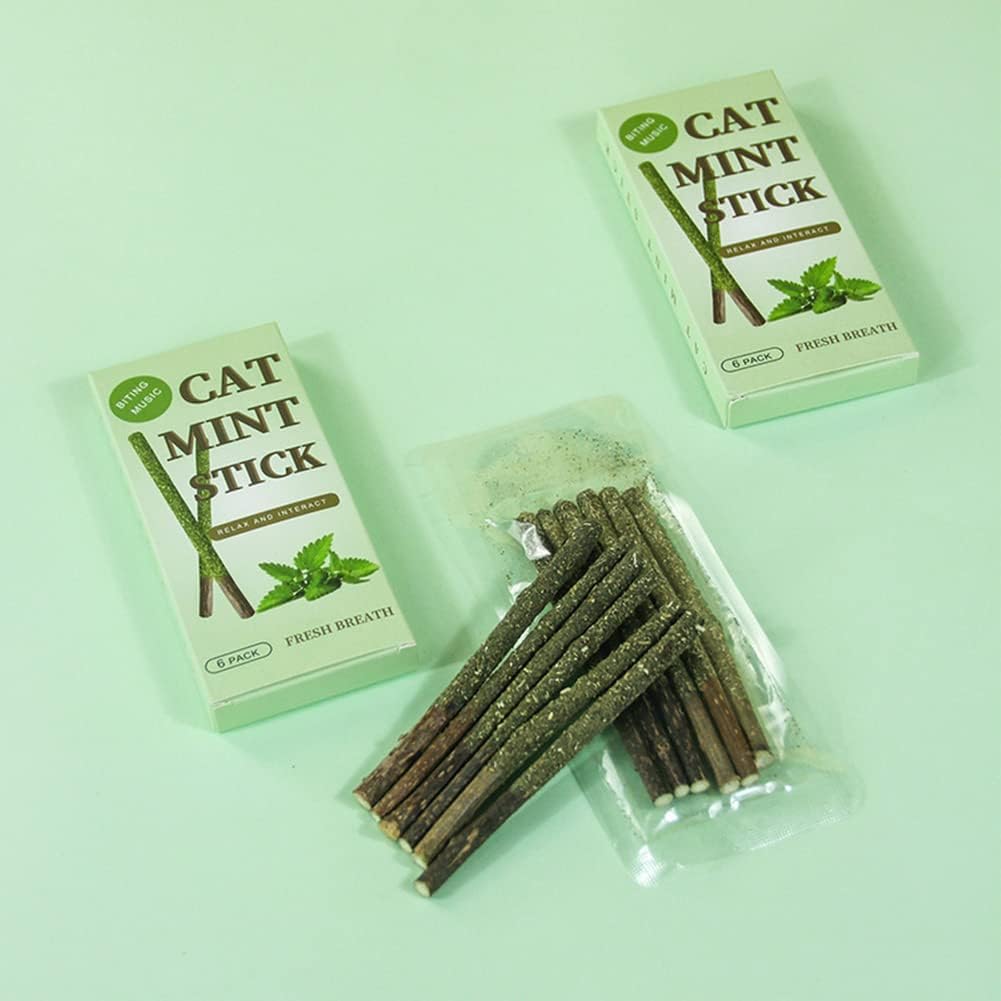 6pcs/Box Natural Matatabi Cat Mint Stick Silver Vine Caught Bite Excited Rods Silvervine For Teeth Cleaning Treating Toys