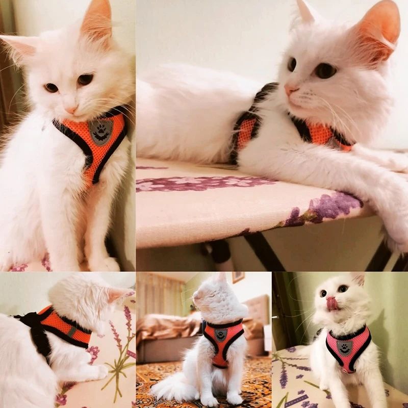 Walking Lead Leash For Puppy Dogs Collar Polyester Adjustable Mesh Dog Harness For Small Medium Pet Accessories