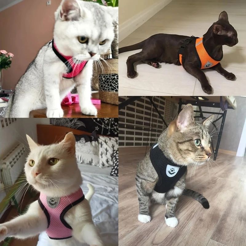Walking Lead Leash For Puppy Dogs Collar Polyester Adjustable Mesh Dog Harness For Small Medium Pet Accessories